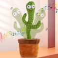 Carica l'immagine nel visualizzatore della galleria, Cactus Ballerino