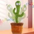 Carica l'immagine nel visualizzatore della galleria, Cactus Ballerino
